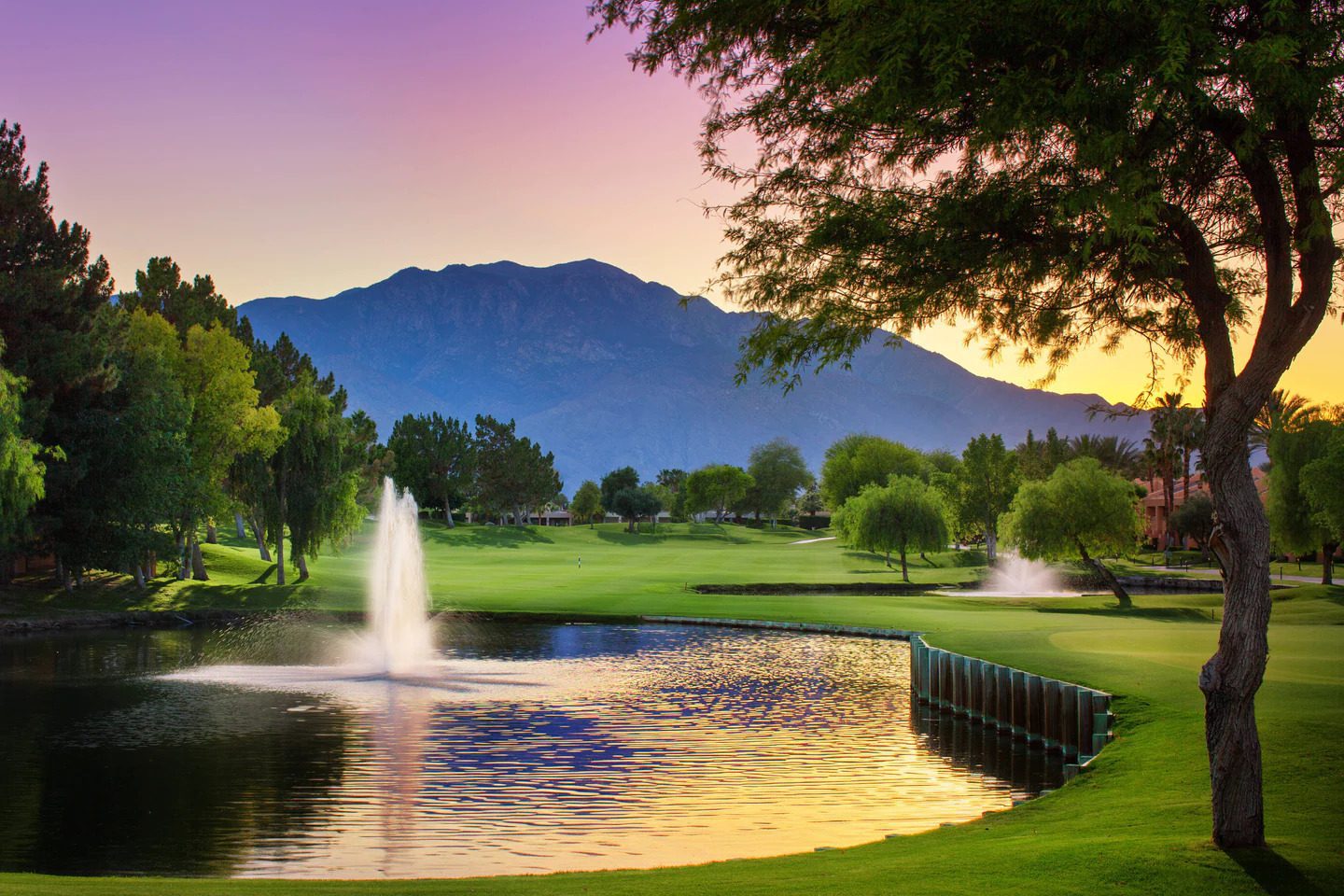 Lisa-Longball-Palm-Springs Course 4